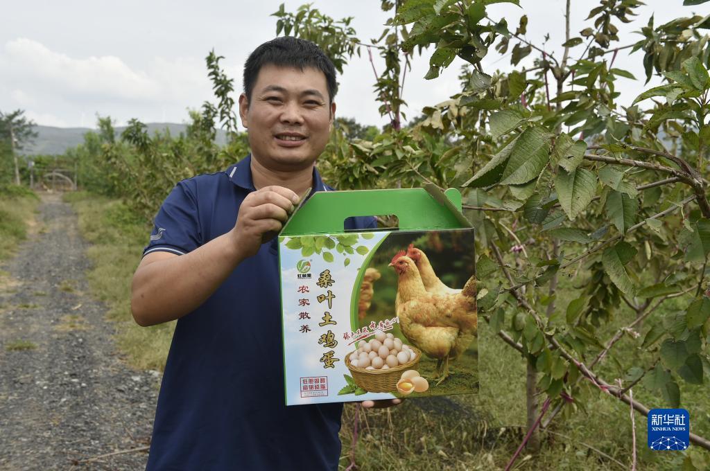沈阳小太阳网登录
